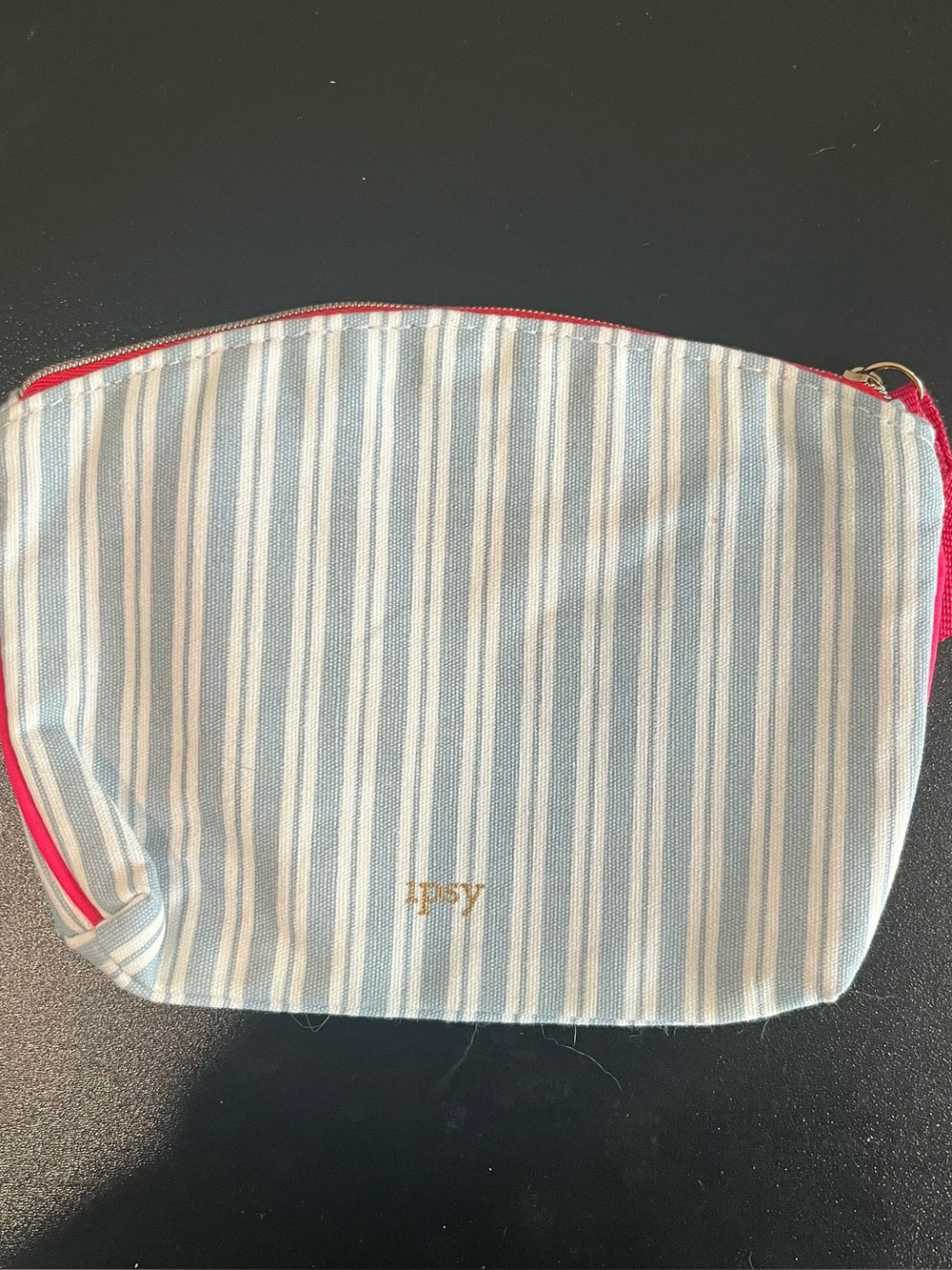 Ipsy pouch